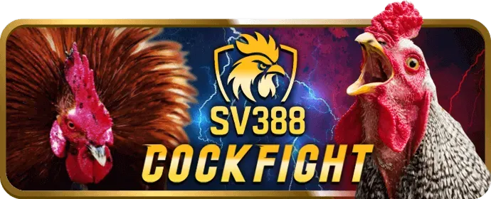 Đá gà trực tuyến CR88
